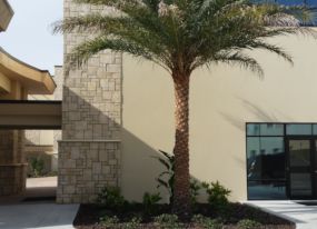 Landscaping Lakeland FL
